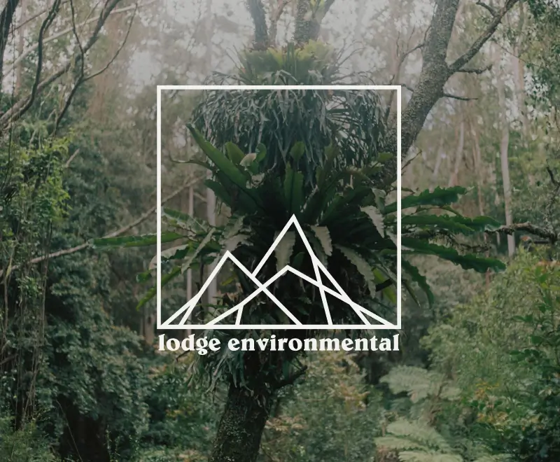 Thumbnail for Website Project for Lodge Environmental