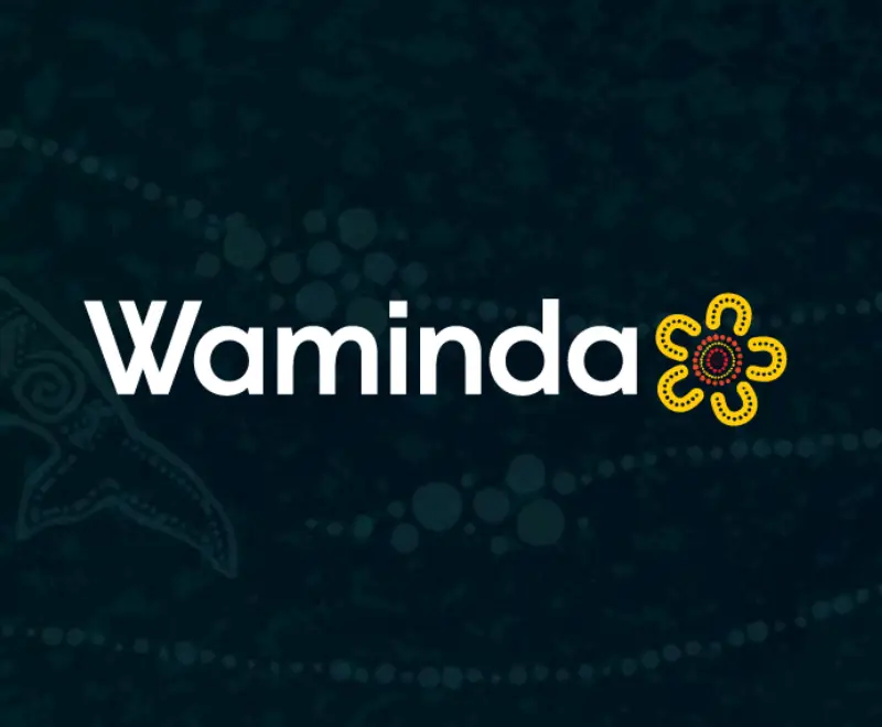 Thumbnail for Website Project for Waminda